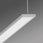 REGIOLUX - Pendel-/Lichtband-Einspeisungsleuchte. alevo-AVHIMP/1500-240 6400 830 DALIflex55