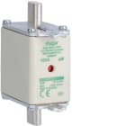 HAGER - NH-Sicherungseinsatz NH00 aM 690V 100A