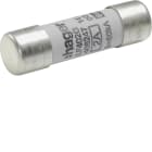 HAGER - Sicherung 14x51 gG 2A