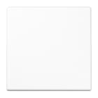 JUNG - Wippe 1fach, Duroplast, Serie LS, alpinweiss