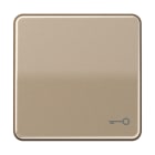 JUNG - Wippe, Symbol Tür, Aluminium eloxiert, Serie CD, gold-bronze