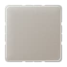 JUNG - Blind-Abdeckung (gerastet), Aluminium eloxiert, Serie CD, platin