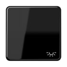 JUNG - Wippe 1fach, Symbol Licht, Duroplast, Serie CD, schwarz