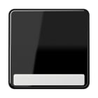 JUNG - Wippe 1fach, mit Schriftfeld, Duroplast, Serie CD, schwarz