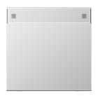 JUNG - Wippe 1fach, mit Schriftfeld, Serie LS, Aluminium