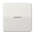 JUNG - Wippe 1fach mit Lichtleiter, Duroplast, Serie CD, lichtgrau