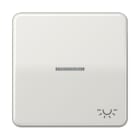 JUNG - Wippe 1fach mit Lichtleiter, Symbol Licht, Duroplast, Serie CD, lichtgrau