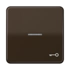 JUNG - Wippe mit Lichtleiter, Symbol Tür, Duroplast, Serie CD, braun