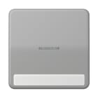 JUNG - Wippe 1fach mit Lichtleiter, mit Schriftfeld, Duroplast, Serie CD, grau