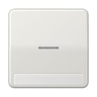 JUNG - Wippe 1fach mit Lichtleiter, mit Schriftfeld, Duroplast, Serie CD, lichtgrau