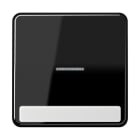 JUNG - Wippe 1fach mit Lichtleiter, mit Schriftfeld, Duroplast, Serie CD, schwarz