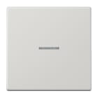 JUNG - Wippe 1fach mit Lichtleiter, Duroplast, Serie LS, lichtgrau