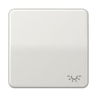 JUNG - Wippe 1fach, Symbol Licht, Duroplast, Serie CD, lichtgrau