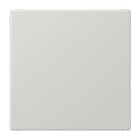 JUNG - Blind-Abdeckung (gerastet), Thermoplast, Serie LS, lichtgrau