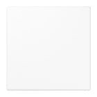 JUNG - Blind-Abdeckung (gerastet), Thermoplast, Serie LS, alpinweiss