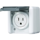JUNG - Steckdose, US-Norm NEMA 15 A 125 V ~, WG 800