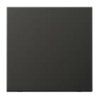 JUNG - Wippe, Aluminium lackiert, Serie LS, anthrazit (lackiertes Aluminium)