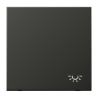 JUNG - Wippe 1fach, Symbol Licht, Alu lackiert, Serie LS, anthrazit