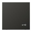 JUNG - Wippe, Symbol Tür, Alu lackiert, Serie LS, anthrazit (lackiertes Aluminium)