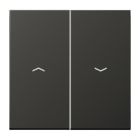 JUNG - Wippe 2fach, Pfeilsymbole, Alu lackiert, Serie LS, anthrazit