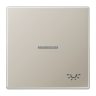 JUNG - Wippe 1fach mit Lichtleiter, Symbol Licht, Serie LS, Edelstahl