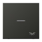JUNG - Wippe 1fach mit Lichtleiter, Symbol Licht, Alu lackiert, Serie LS, anthrazit