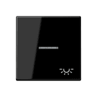 JUNG - Wippe 1fach mit Lichtleiter, Symbol Licht, Duroplast, Serie A, schwarz