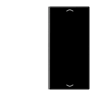 JUNG - Taste 2fach, mit Pfeilsymbolen, F40, Serie LS, schwarz