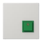 JUNG - Notrufsystem Abstelltaster, Serie LS, lichtgrau