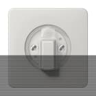 JUNG - Abdeckung für Drehschalter, Duroplast, Serie CD, lichtgrau