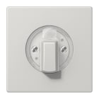 JUNG - Abdeckung für Drehschalter, Duroplast, Serie LS, lichtgrau