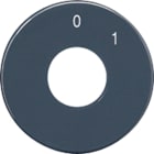 JUNG - Skalenscheibe, Symbole 0 I, anthrazit