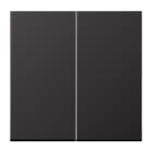 JUNG - Wippe 2fach, Aluminium lackiert, Serie LS, dark (lackiertes Aluminium)