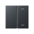 JUNG - Taste 1fach, mit Pfeilsymbolen, F40, Serie A, anthrazit matt