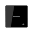 JUNG - Wippe 1fach mit Lichtleiter, Symbol Licht, Thermoplast, Serie A, schwarz