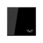 JUNG - Wippe 1fach, Symbol Licht, Thermoplast, Serie A, schwarz