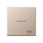 JUNG - Wippe 1fach mit Lichtleiter, Symbol Licht, Serie A, champagner