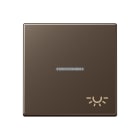 JUNG - Wippe 1fach mit Lichtleiter, Symbol Licht, Serie A, mokka