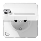 JUNG - SCHUKO Steckdose, 16A 250V ~, Klappdeckel, mit Sicherheitsschloss, Thermoplast,