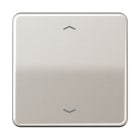 JUNG - Steuertaste Standard, mit Pfeilsymbolen, Duroplast lackiert, Serie CD, platin