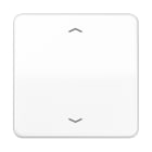 JUNG - Steuertaste Standard, mit Pfeilsymbolen, Duroplast, Serie CD, alpinweiss