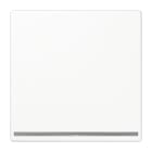 JUNG - LED-Orientierungslicht, Thermoplast, Serie LS, alpinweiss