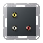 JUNG - Multimedia-Anschlusssystem Cinch Audio/Composite Video, anthrazit