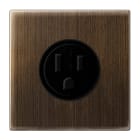 JUNG - Steckdose, US-Norm NEMA, 15 A 125 V ~, Schraubklemmen, o.Krallen, Messing antik