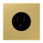 JUNG - Steckdose, US-Norm NEMA, 15 A 125 V ~, Schraubklemmen, o.Krallen,Messing classic
