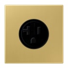 JUNG - Steckdose, US-Norm NEMA, 20 A 125 V ~, Schraubklemmen, o.Krallen,Messing classic