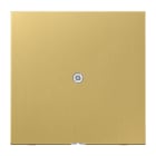 JUNG - Leitungsauslass mit Zugentlastung, Messing, Serie LS, Messing classic