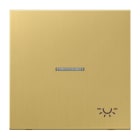 JUNG - Wippe 1fach mit Lichtleiter, Symbol Licht, Messing, Serie LS, Messing classic