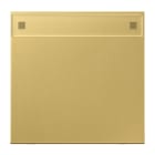 JUNG - Wippe 1fach, mit Schriftfeld, Messing, Serie LS, Messing classic