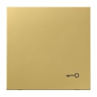 JUNG - Wippe, Symbol Tür, Messing, Serie LS, Messing classic